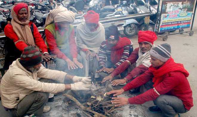 Rain, snowfall continue, severe cold in state - Chandigarh Tribune