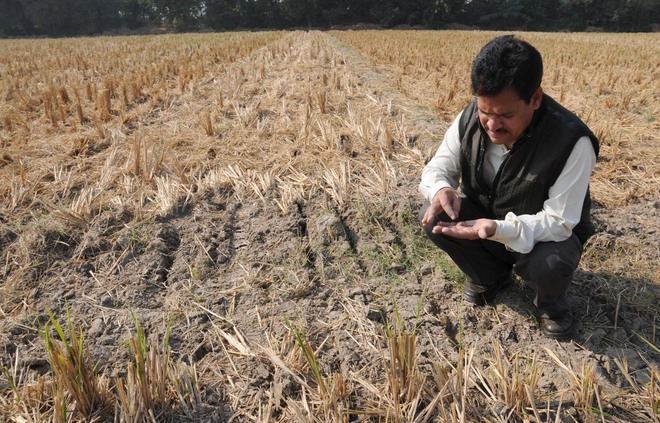Image Result For Happy Punjab Farmers Image Result For Happy Punjab Farmers