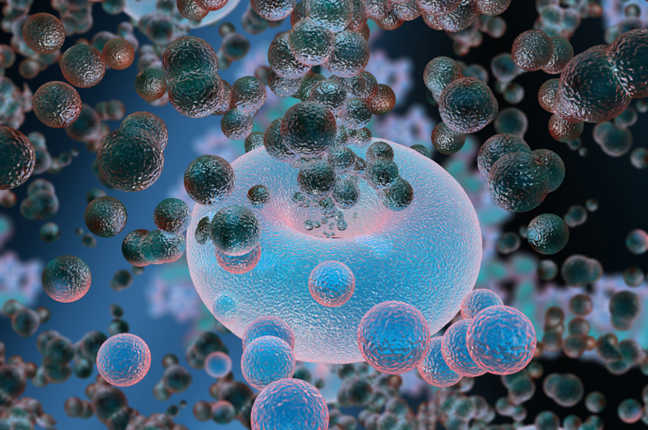 Para-athletes face official apathy, Minister promises action