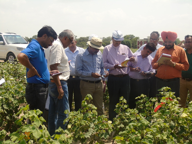 Agriculture scientists from the Centre, Haryana, Punjab and Rajasthan 