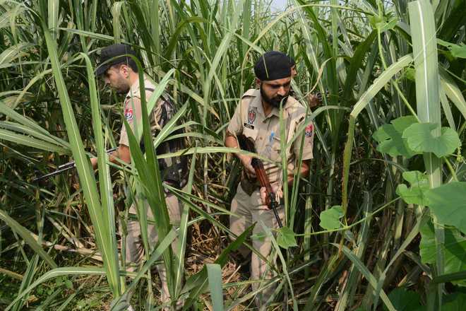 BSF fires in Gurdaspur