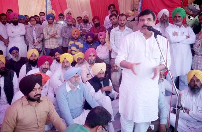 AAP launches dharna at Kapoori village