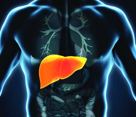 Brain dead Army man’s liver gives woman new lease of life