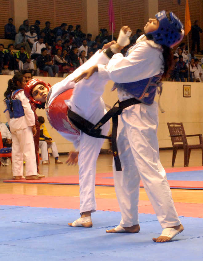 Taekwondo World Champion Pc Game Crackdown