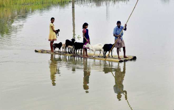 Assam floods: Army called in for rescue operations in Chirang