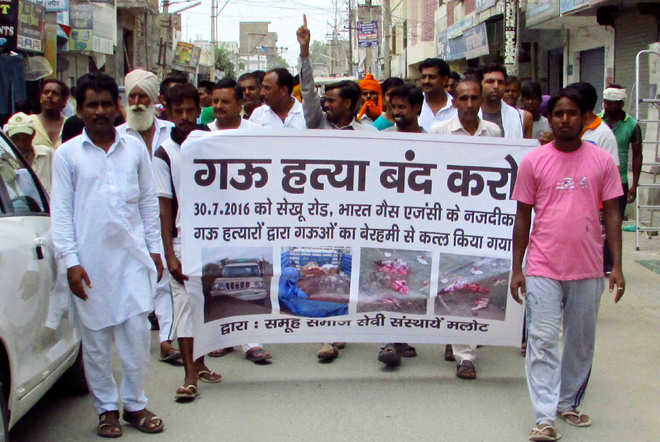 Cow slaughter triggers protest in Malout; 2 held