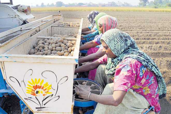 Bhavantar Bharpai Scheme to offer relief to farmers in Haryana
