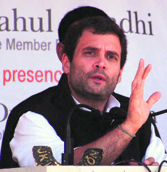 Capt-Jakhar team will deliver: Rahul