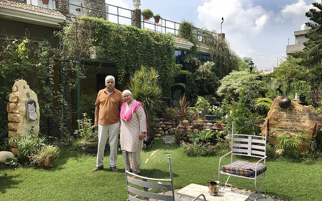 Ex-Army officer turns house into green abode