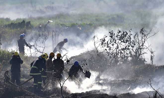 Smoke billows from Bellandur Lake after fire doused