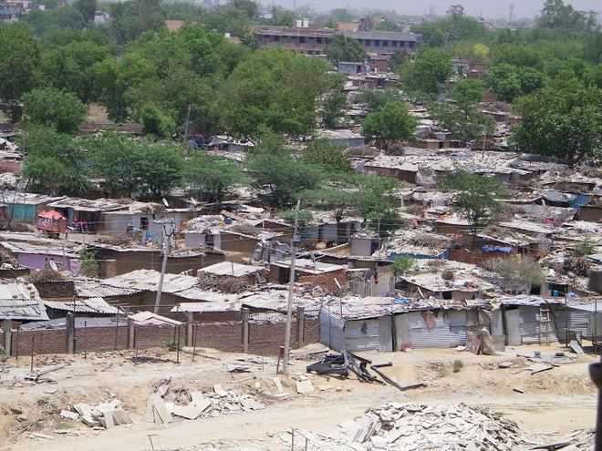 Survey Finds Shanties In Faridabad Slum Pockets The Tribune