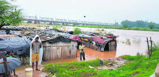 Raging Ghaggar Inundates Low Lying Areas In Dera Bassi The Tribune India