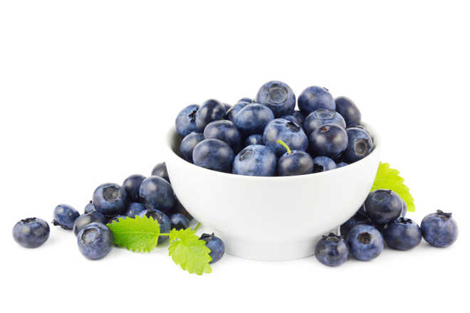 Daily cup of blueberries may reduce BP