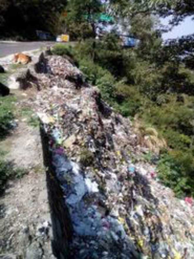 Palampur garbage treatment plant fails to deliver