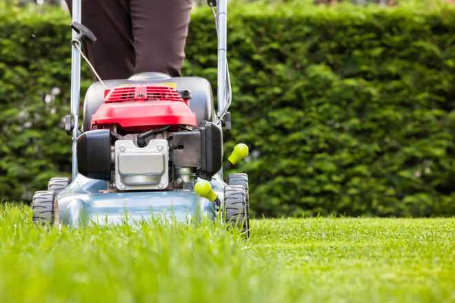Manicured lawns contribute to global warming by producing greenhouse gases