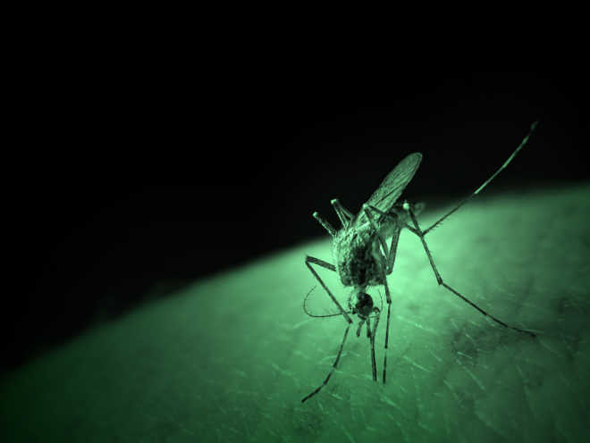 Rapid 20-minute saliva test to sniff out dengue
