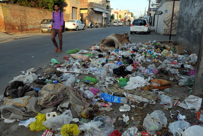 Year after Swachh Bharat Abhiyan was launched, city reels under stink