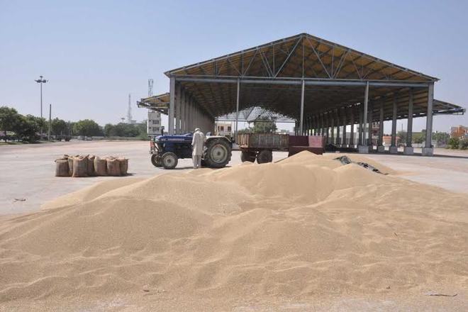 Bajra procurement yet to start in Jhajjar market