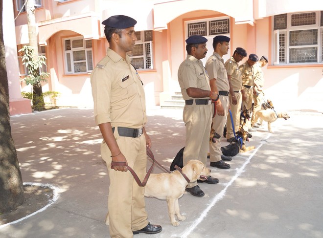 ITBP to train sniffer dogs for Ardh Kumbh at Panchkula