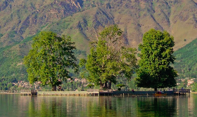Govt promises to preserve Char-Chinari in Dal Lake