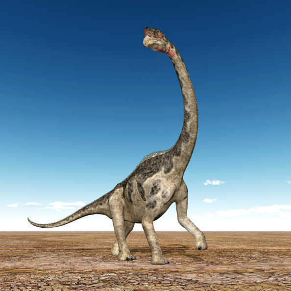 Giant dinosaur had tennis ball-sized brain