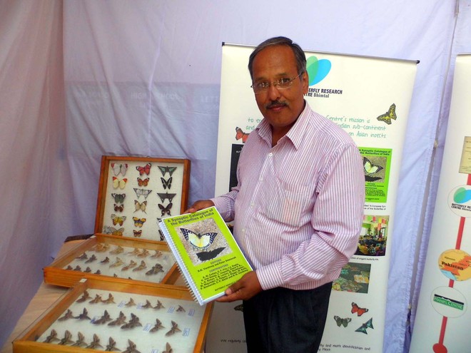 Butterfly research centre to come up in Mussoorie