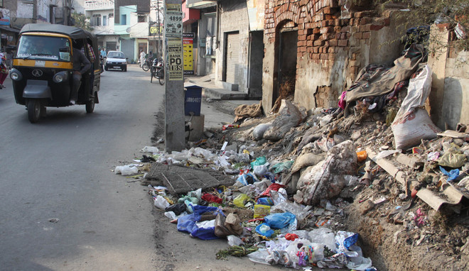 Garbage dumps, stray dog menace keep residents on tenterhooks : The ...