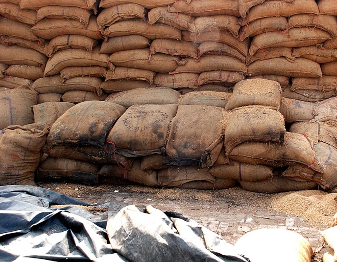 15,000 wheat bags missing from Ambala godown