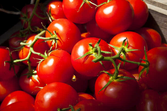 Don''t refrigerate tomatoes for better aroma