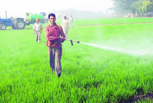 Accused agriculture officials on duty, but cops fail to trace them