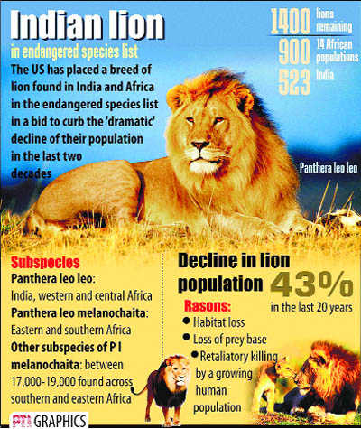 lion subspecies list
