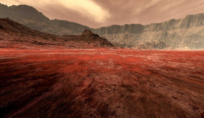 ''Black Beauty'' forms bulk of Red Planet rocks