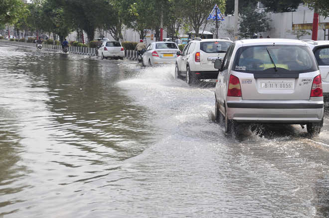 City receives 12 mm of rainfall : The Tribune India