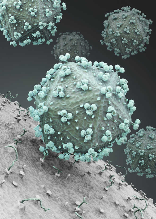 New compound may treat HIV, drug-resistant TB