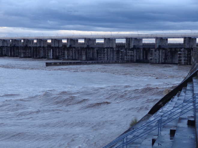 Water flow rises to 56,826 cusecs in Yamuna