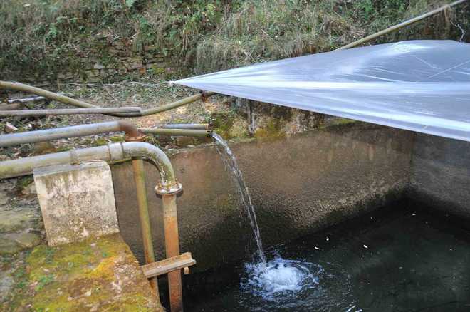 ‘Septic’ water posing threat to human lives in city’s outskirts
