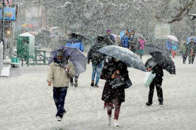 Snow, rain claim 4 lives in Himachal, three in Punjab