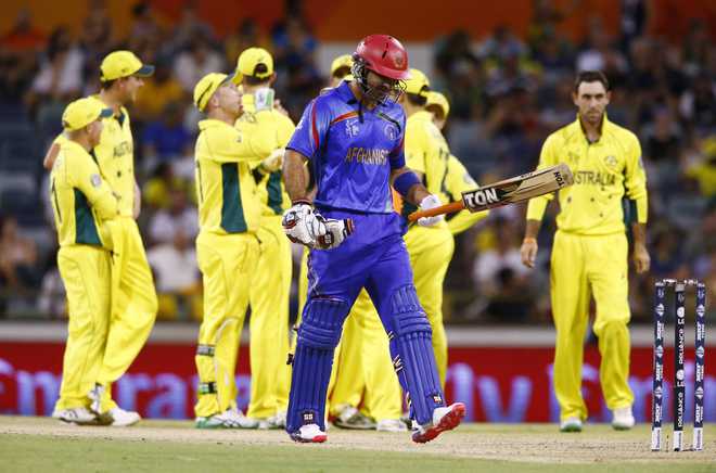 Australia crush Afghanistan by 275 runs