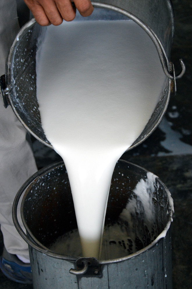 Now, milk adulteration can’t go unchecked