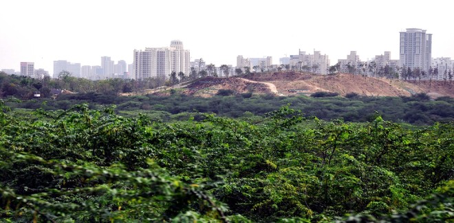 Aravallis not a forest area now, last green patch in grave danger