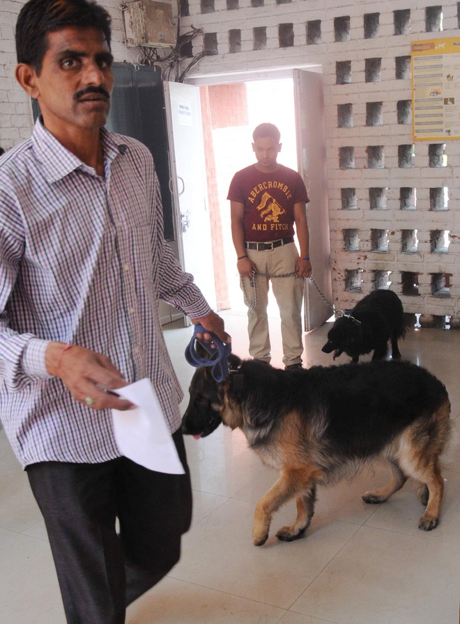 Residents visit veterinary hospital in large numbers