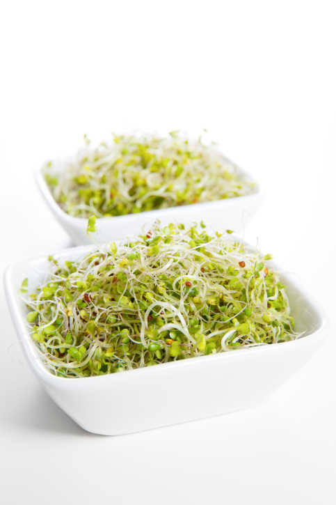 Broccoli sprout extract may protect from head and neck cancer