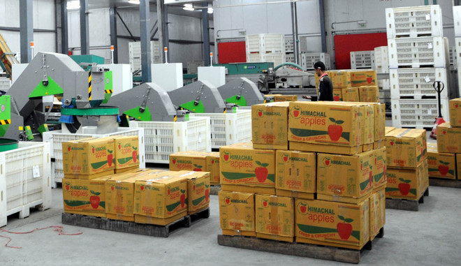 Govt notifies apple packaging cartons