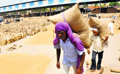 Wheat norms eased further for Haryana, 3 other states