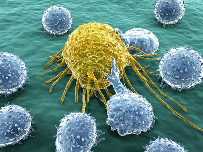 New discovery to make cancer less painful