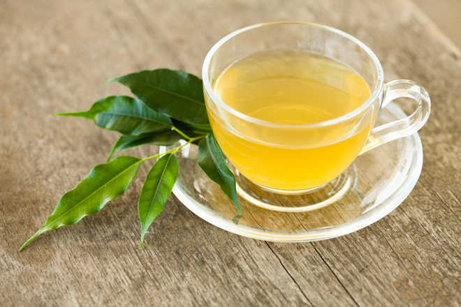 Green tea extract and exercise may battle Alzheimer''s