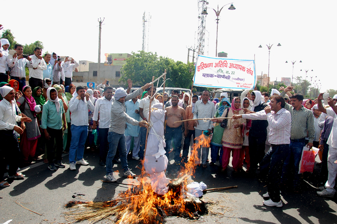 Guest Teachers Protest Move To Oust Them The Tribune India Guest Teachers Protest Move To Oust Them The Tribune India