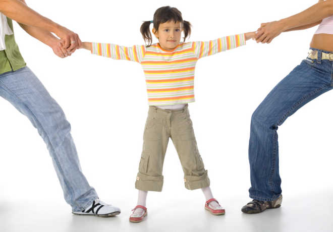 Law panel for joint custody of child in divorce cases