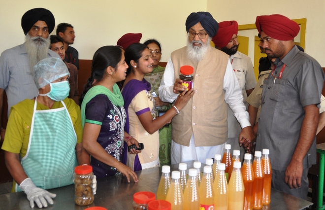 Cess on fuel a must for development: Badal