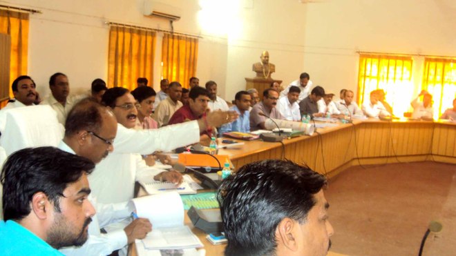 Speed up electrification of rural areas: Nishank